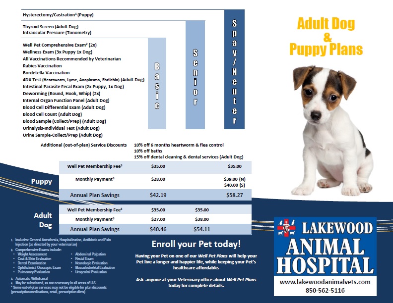 Canine Preventive Wellness Plans Lakewood Animal Hospital